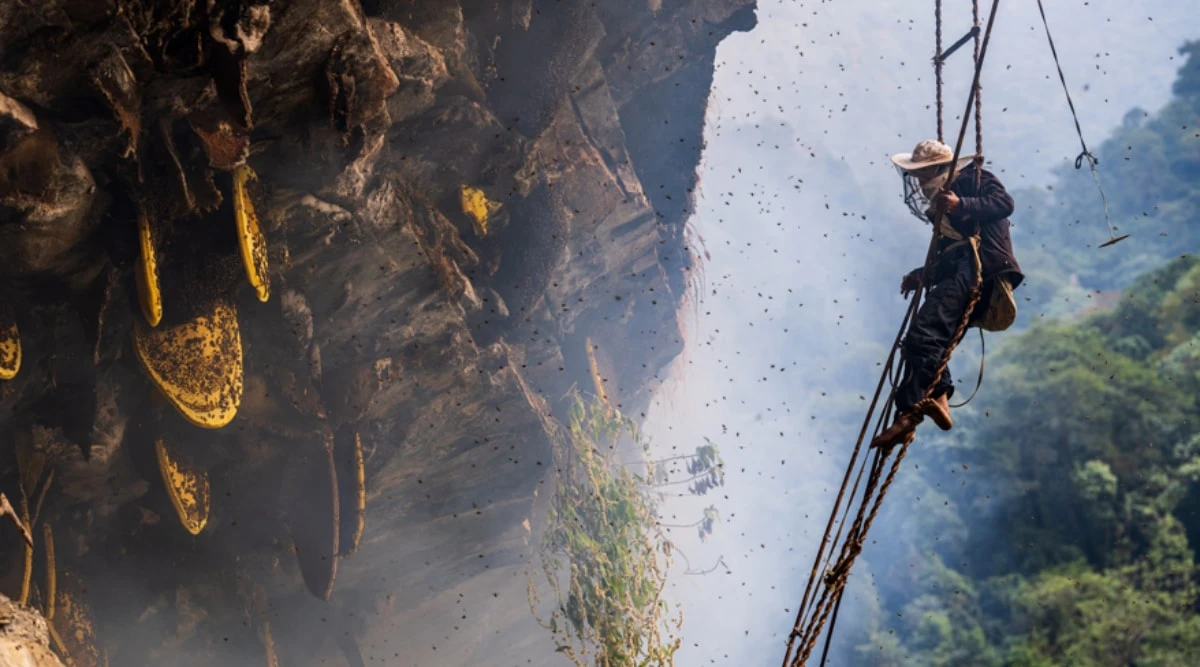 What Is Himalayan Honey? Benefits, Effects, Origin, and Safety Guide