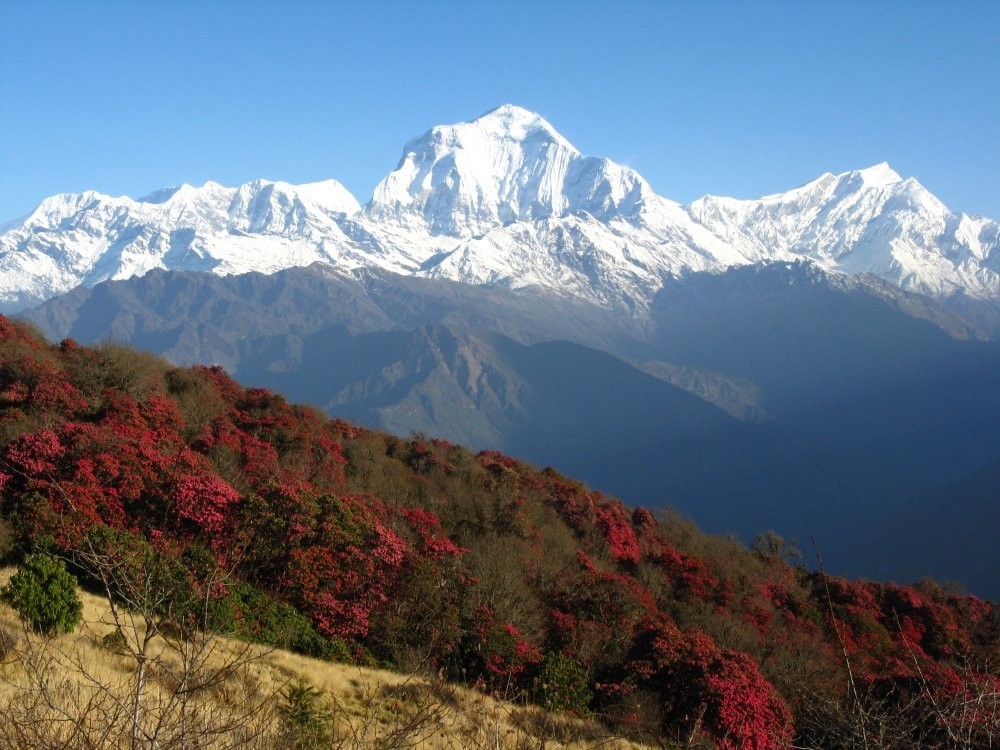 Mardi Himal Trek 09 days